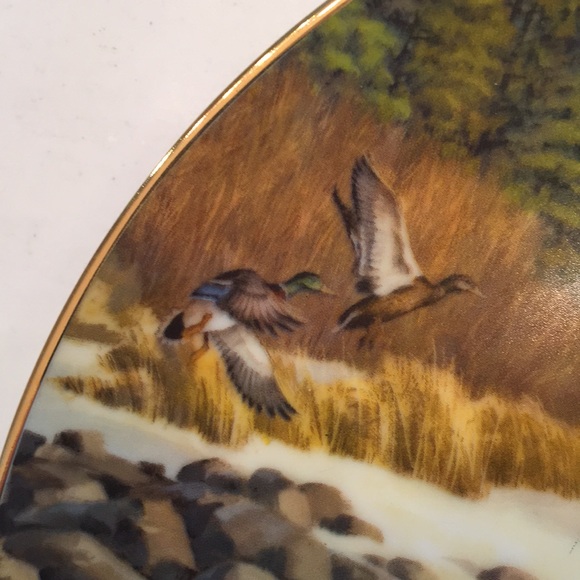 Collectible plate The Mallard - Picture 4 of 6